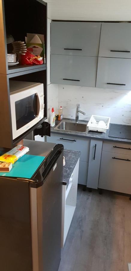 Duplex 4 Pers Super Murat 1200 M Alt Prox Mont Dore Bourboule Sancy Εξωτερικό φωτογραφία